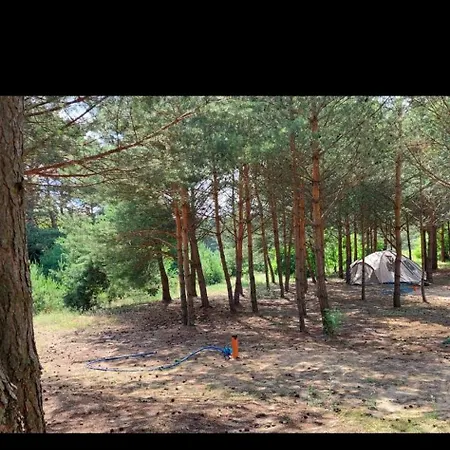 Holenderki Na Zielonych Wzgorzach, *