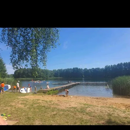 Holenderki Na Zielonych Wzgorzach,