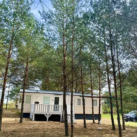 Nyaraló Holenderki Na Zielonych Wzgorzach,